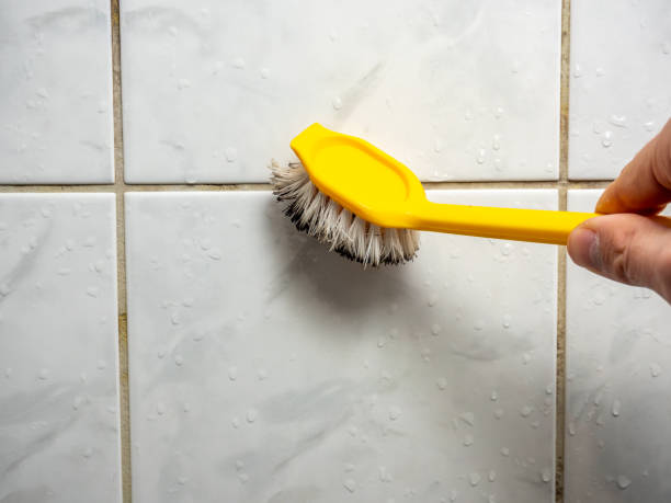 Best Basement Mold Remediation in Anna, TX