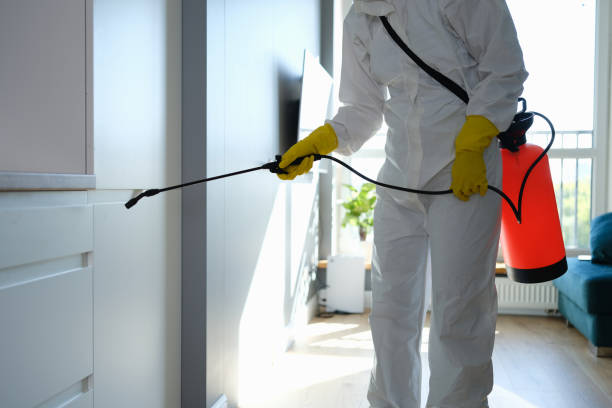 Best Commercial Mold Remediation in Anna, TX