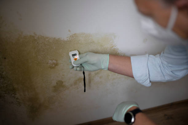 Anna, TX Mold Remediation Company
