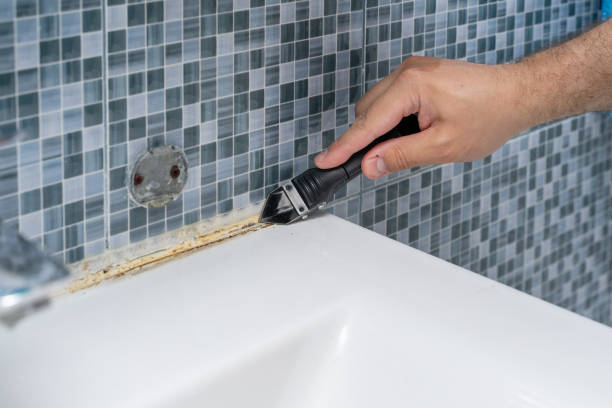 Best Mold Remediation for Specific Building Types in Anna, TX